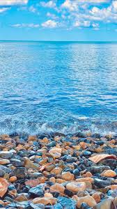 خلفية رقم 120