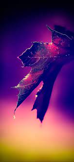 خلفية رقم 26