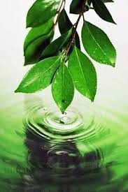 خلفية رقم 101