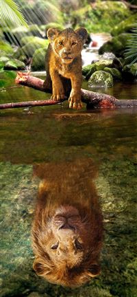 خلفية رقم 48