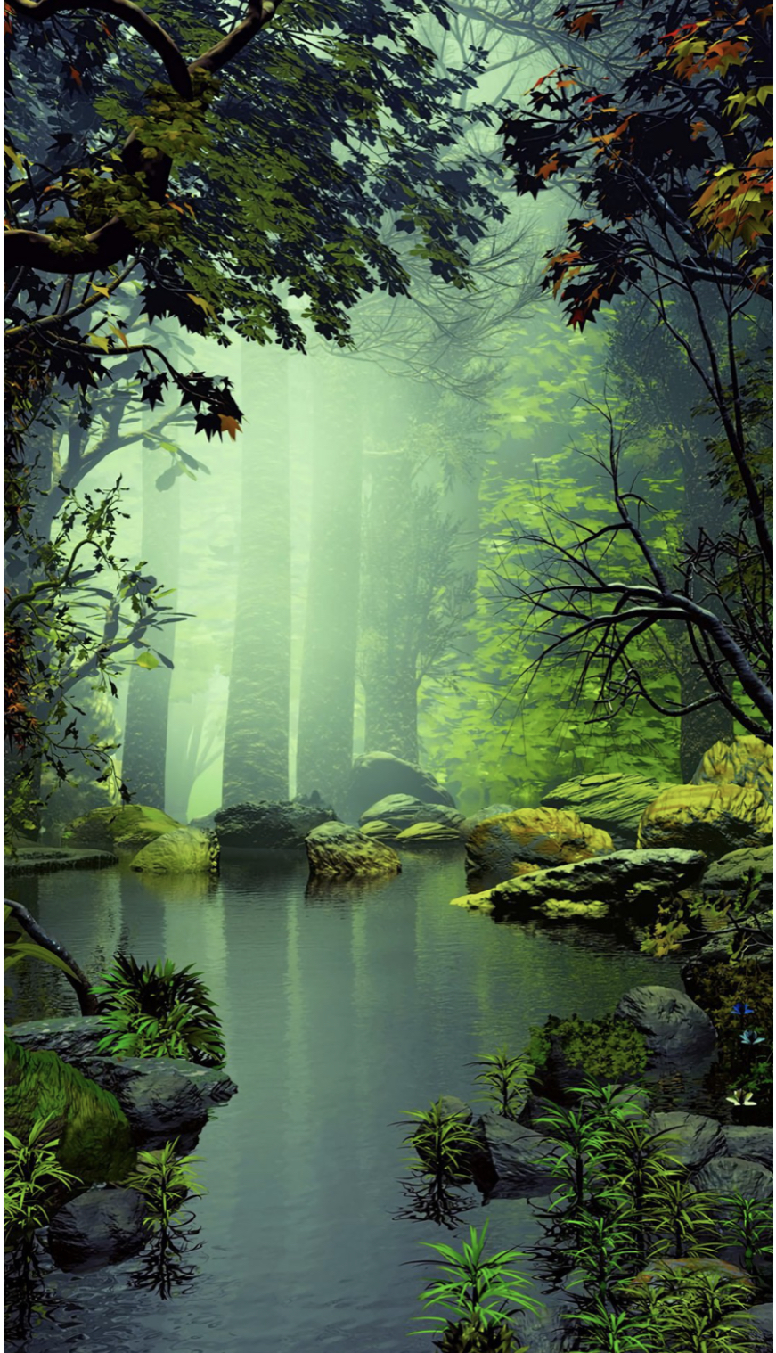 خلفية رقم 144