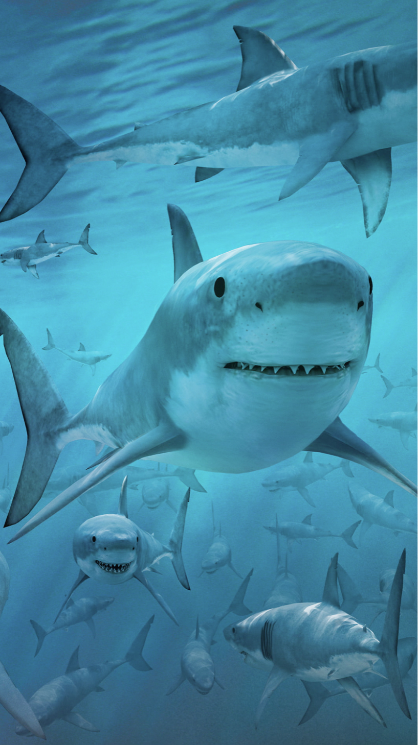 خلفية رقم 141