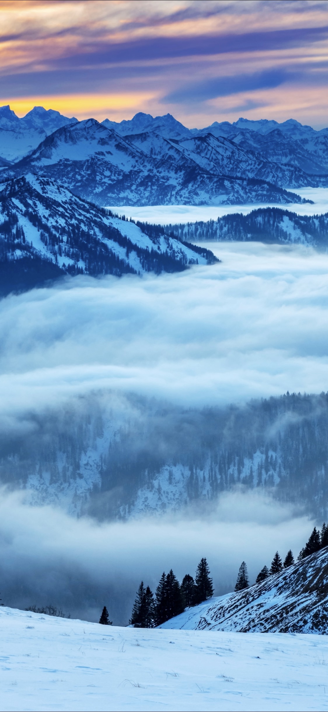 خلفية رقم 140