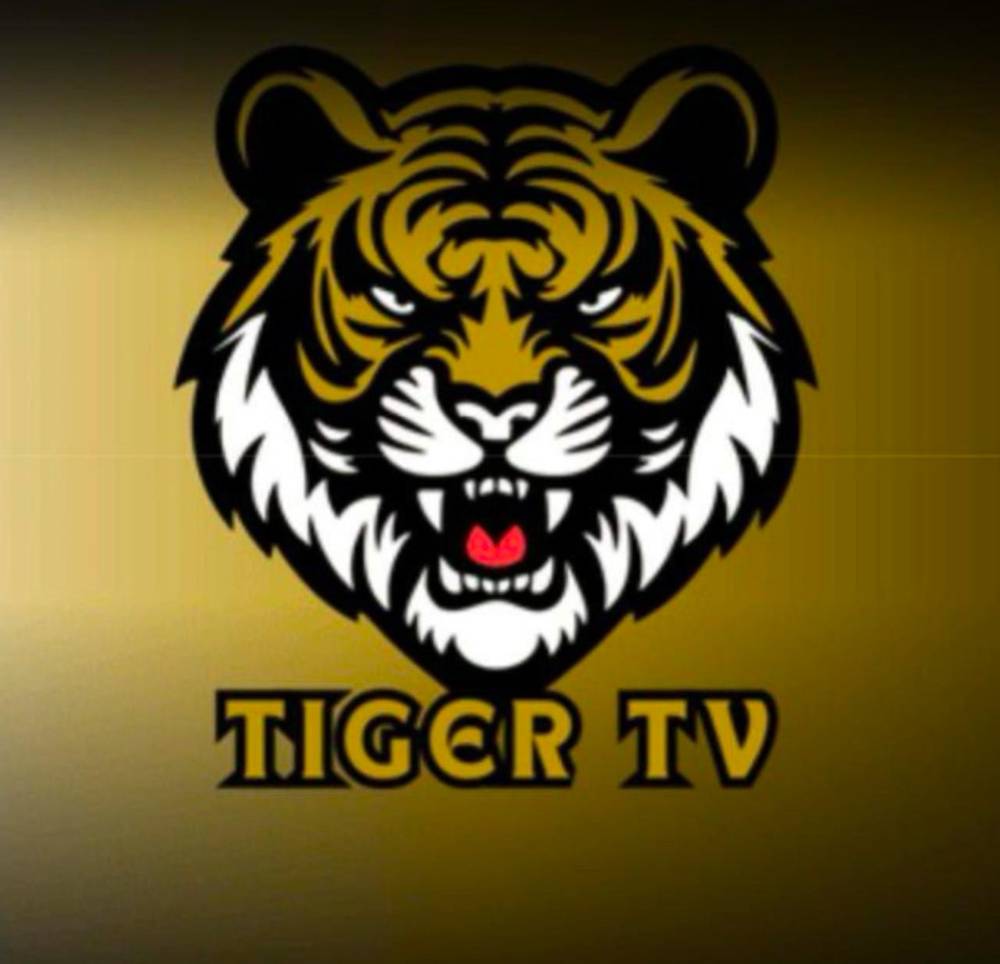 تايقر مدة سنة